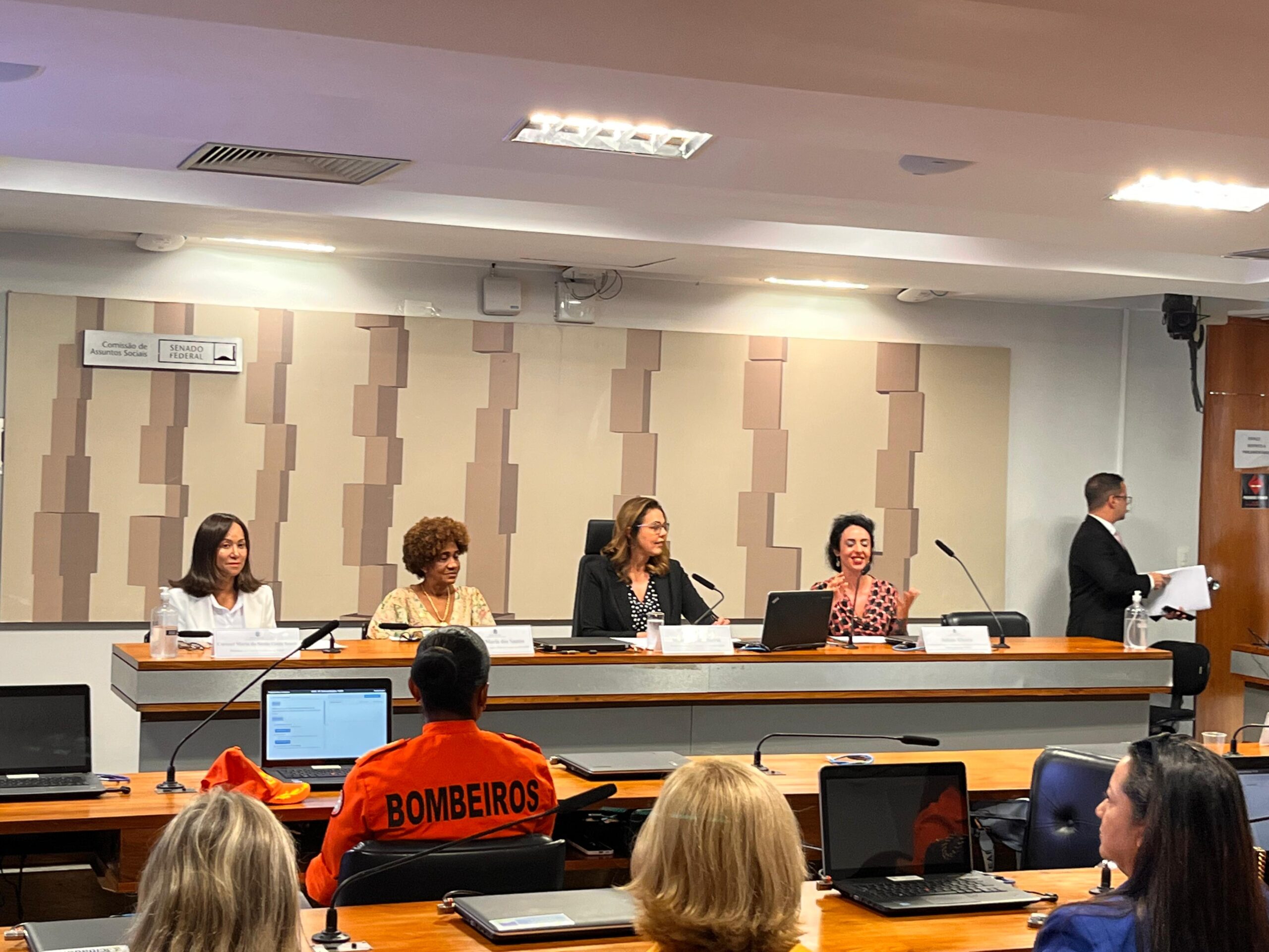 Presidente da CABE ressalta a importância do cuidado com a saúde mental das mulheres na segurança pública em audiência pública.
